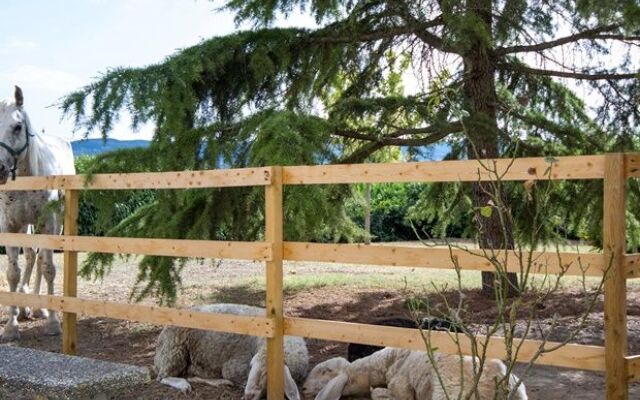 Agriturismo Casa Cantone