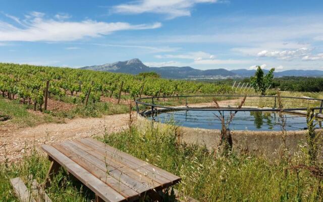 Domaine De La Navicelle - Cabernet