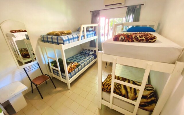 Hostel & Bar Bamboo