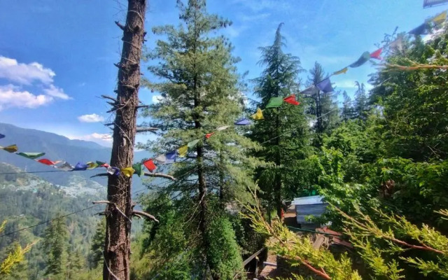 Hotel Wonder Hill Inn Narkanda