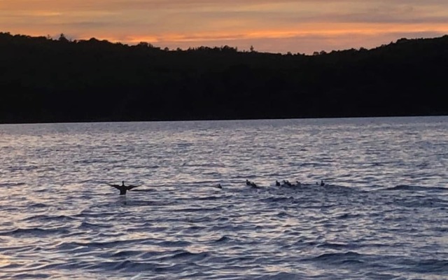 Active Lakeview Escape