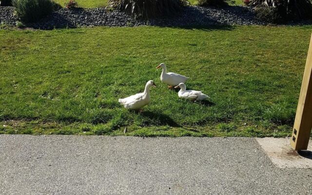 Blackhouse Guesthouse