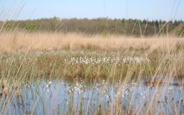 Vakantiehuis NamaStee