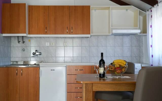 Studio Apartment Slivje