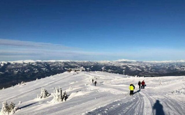 Alpengasthof Wolfgruber