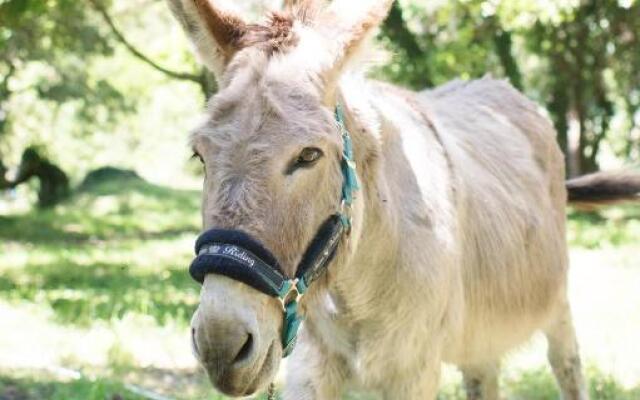 Relais Du Vieux-Sauvaire