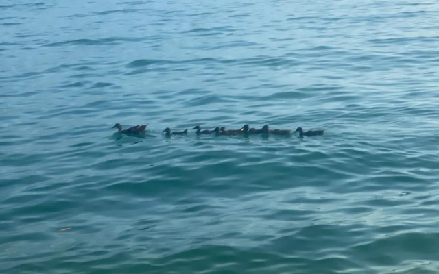 10 minuti dal Lago di Garda e da Gardaland