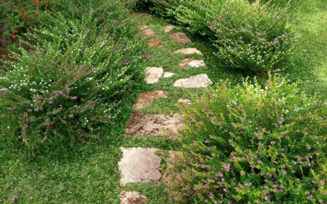 Villa Sunset Jogjakarta