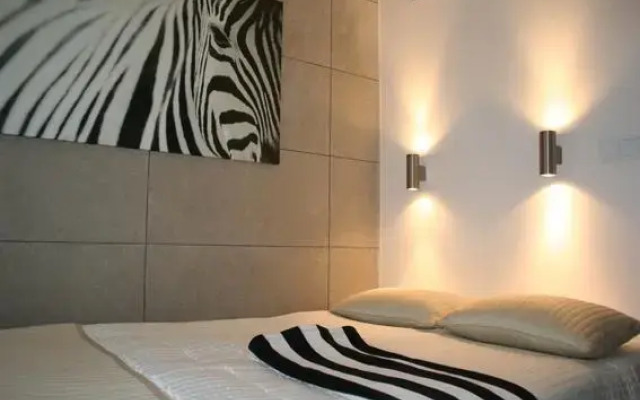 Old Town Apartment / Igielnicka