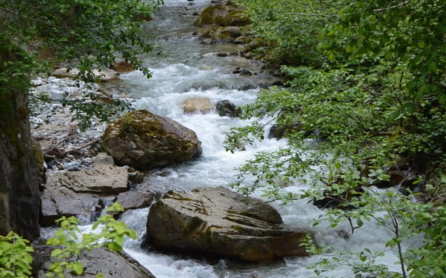 Senoz Mountain House - Bungalow