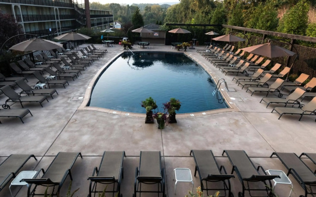 New Hope Inn & Suites