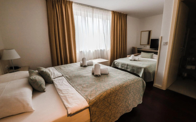 Hotel Borovnik