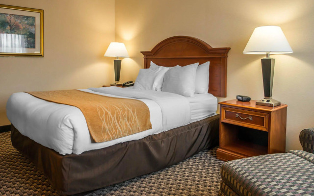 Comfort Inn & Suites