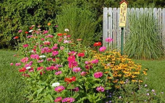 Red Bud Cove Bed & Breakfast Suites