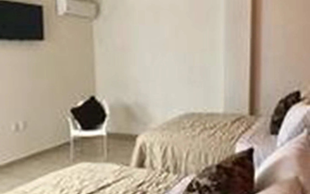 Zamora Ejecutivo Express