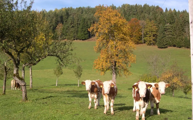 Ferienhaus Lenzau