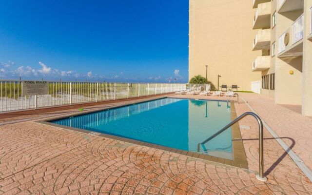 Tropical Winds by Hosteeva