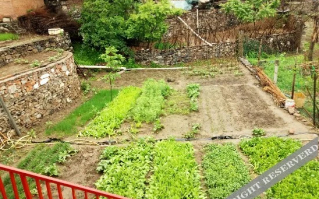 Shidu Longxiang Farmstay