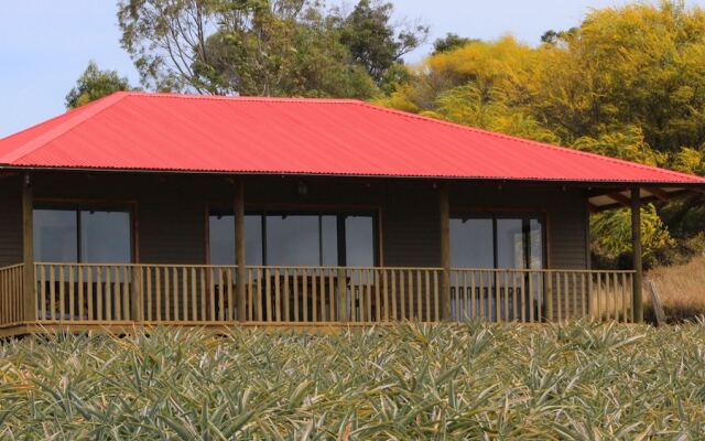 Maunga roa eco lodge