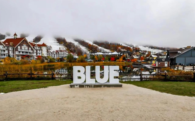 Lofted Rustic Chalet @ Blue Mountain