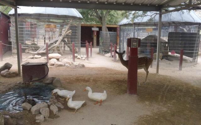 Bonnie Springs Ranch Motel