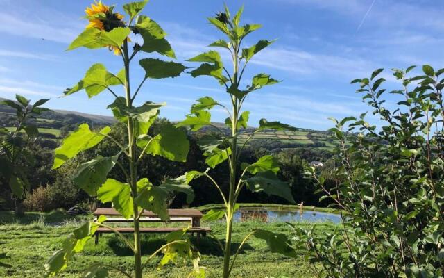 Stables, 1 bed Eco earth house, edge of Dartmoor