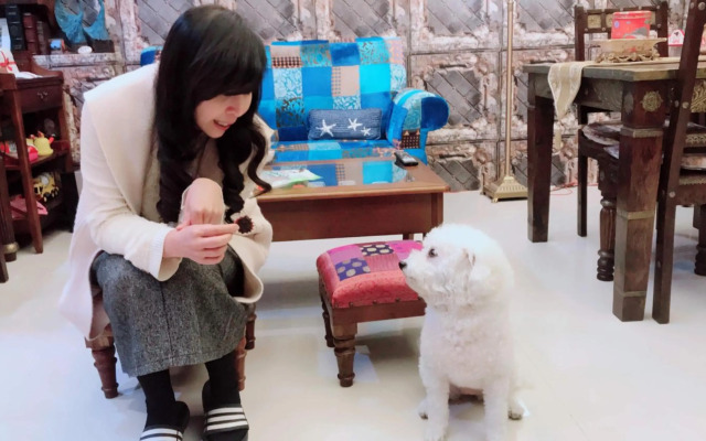 Aria2 home