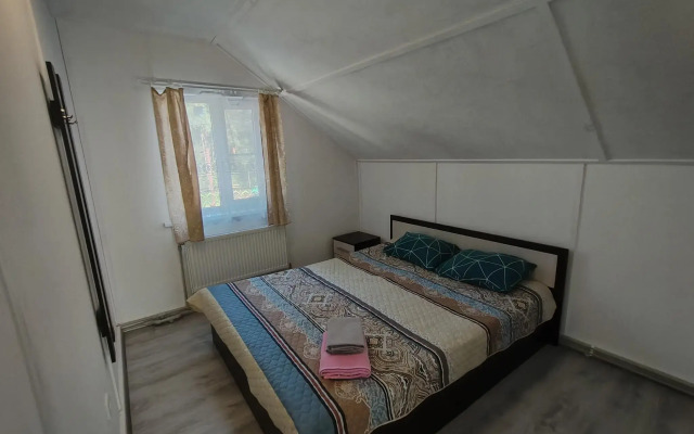 Guest house in Sosnovo (v)