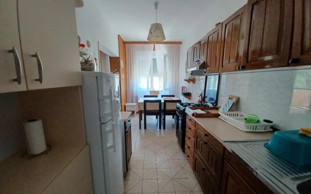 Apartmani Iva