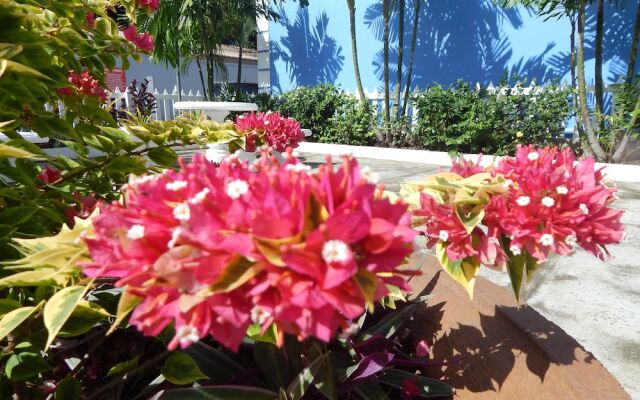 Green Palm Boutique Hotel