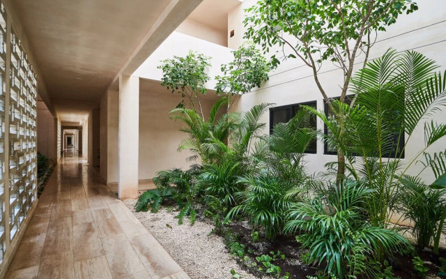 Paramar Viva 28 By Lockey