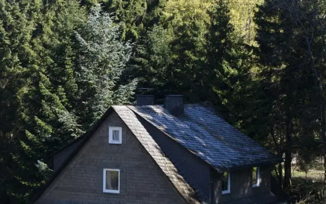 Ferienhaus 060 Waldhaus
