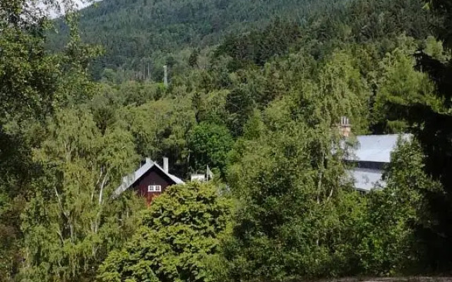 Apartament Podgórze 21