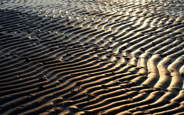 Apelviken Lägenhetshotell