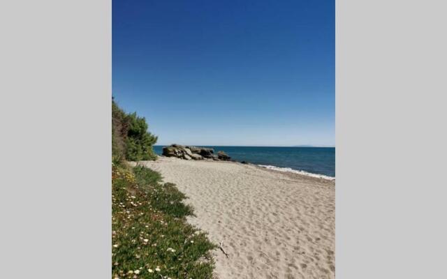 MARINE DE Bravone pieds dans l'eau