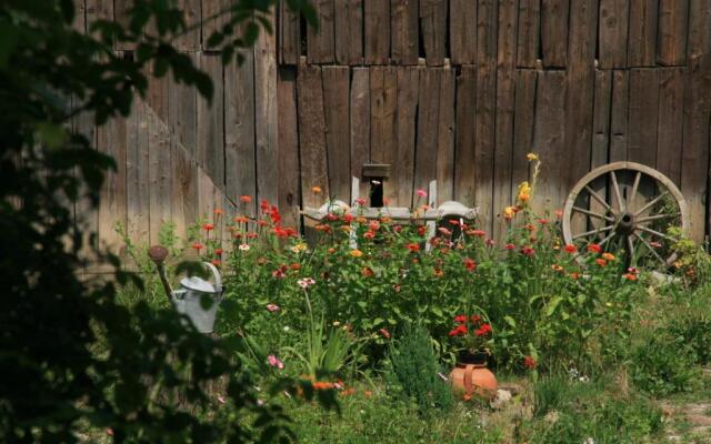 Casa cu zorele, Crit 189