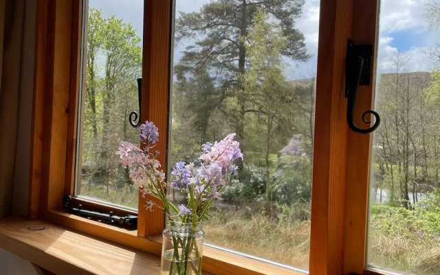 Cosy Woodland off Grid Shepherds Hut - Rowan