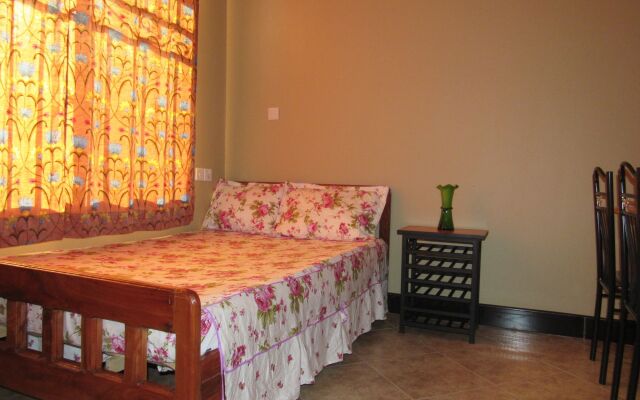 Shika Tours and Hostel