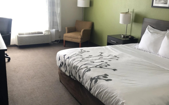 Sleep Inn & Suites Virginia Horse Center