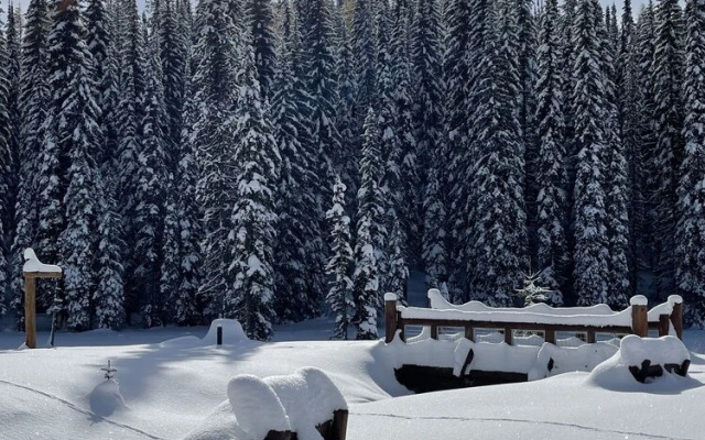 The Lodge At Lolo Hot Springs