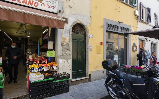 Orto Deluxe by Mmega