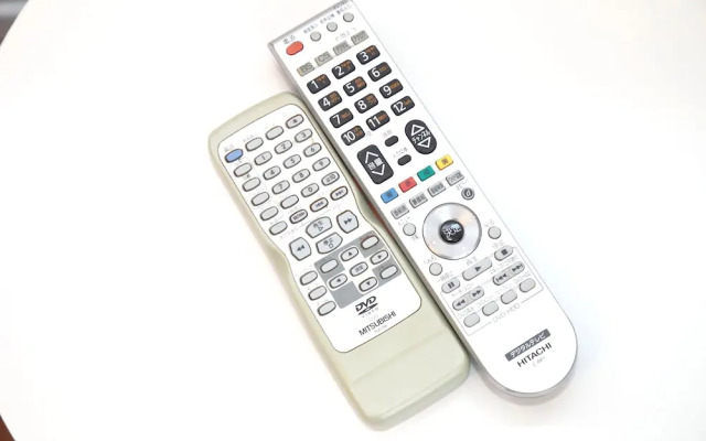 Vivid Zebra House - 197-1