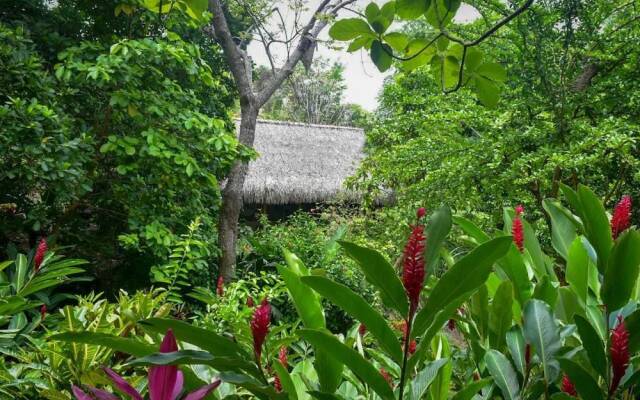 Ecohabs Bosques Del Tayrona