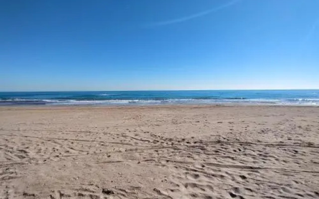 ACV - Acapulco II-1 Linea Planta 1 Norte