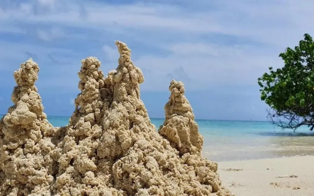 String Wave Maldives