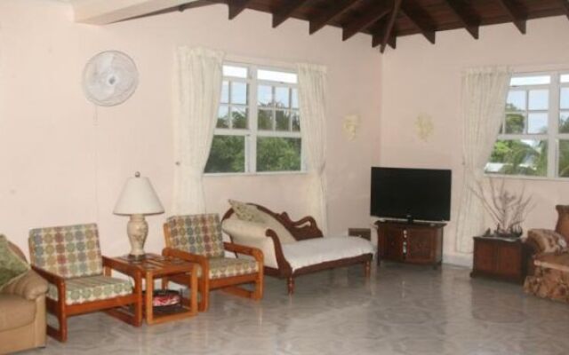 Palm Paradise Guest House and Apartments