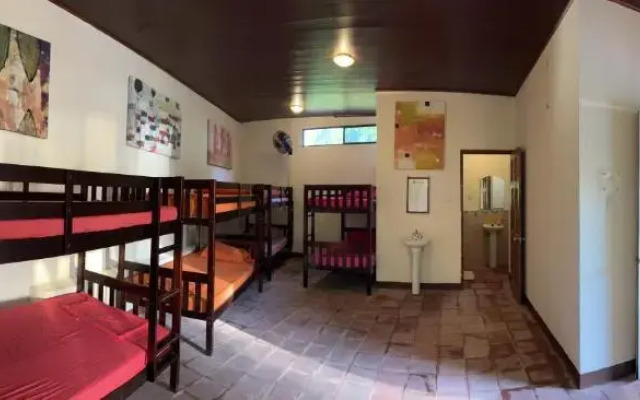 SOLID Surf Hostel