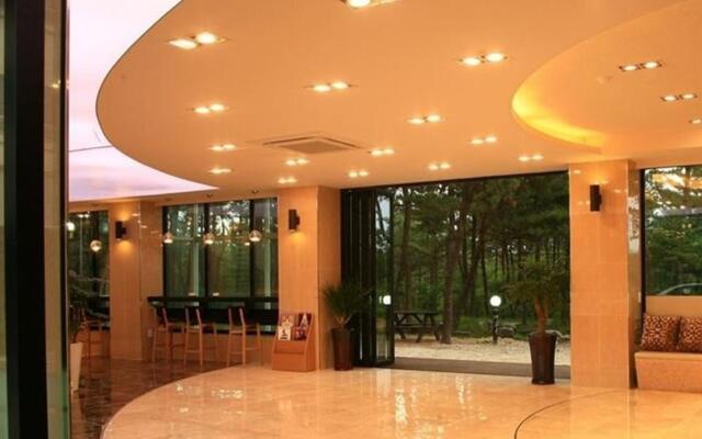 Goseong Sunshine Beach Pension