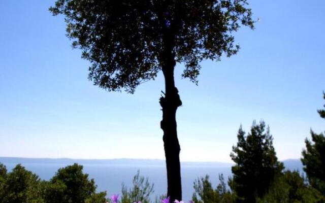 Holiday Home Dalmatinska Kuća