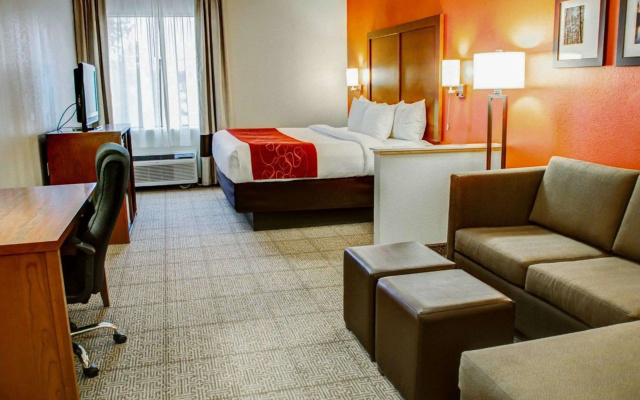 Comfort Suites Tyler South